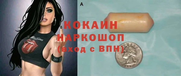 сатива Инсар