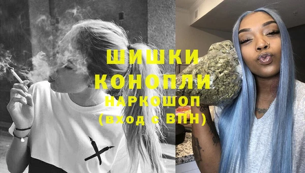 стафф Зерноград