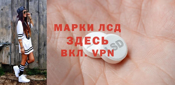 сатива Инсар