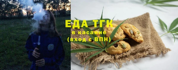 сатива Инсар